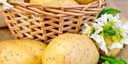Jak uvařit brambory
