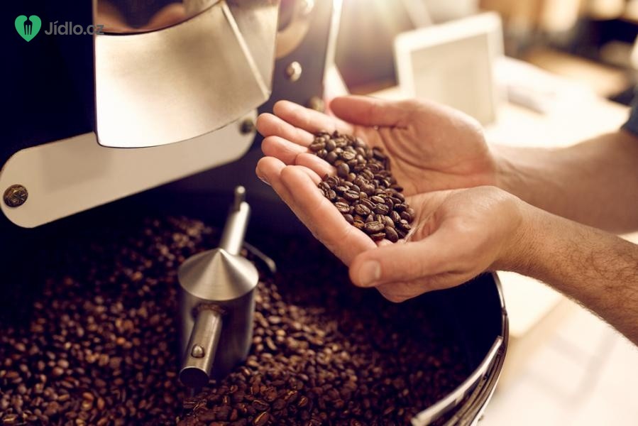 Znáte rozdíl mezi nejznámějšími druhy kávy Arabicou a Robustou?