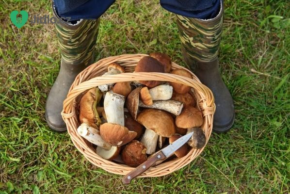 Jak uchovávat houby? Vyzkoušejte pastu a houbové koření! 