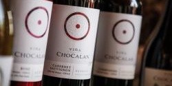 Chilské víno - Viňa Chocalán