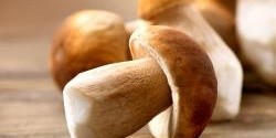 Nakládané houby se zeleninou